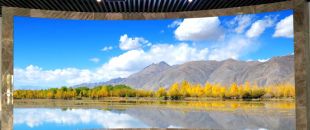 小間距l(xiāng)ed顯示屏未來的發(fā)展前景怎么樣？